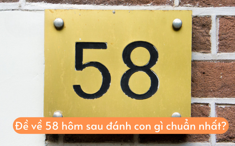 soi cầu đề về 58 hôm sau đánh con gì?