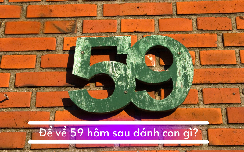 Hôm nay đề về 59 hôm sau đánh con gì dễ trúng nhất?